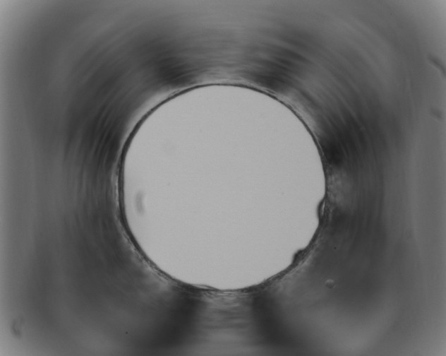 X0000091731150200708311156