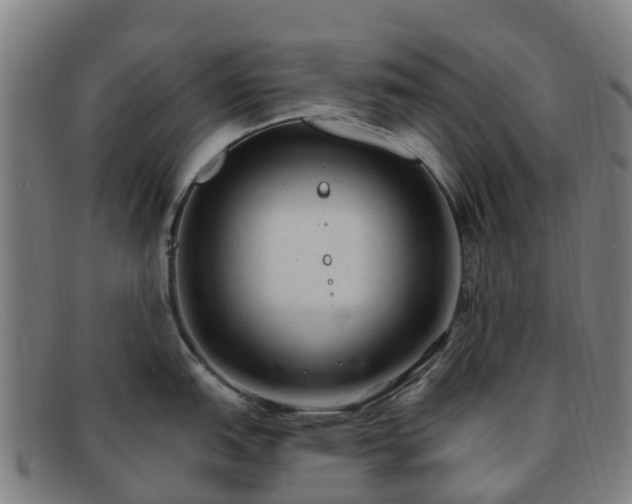 X0000091731151200708311156