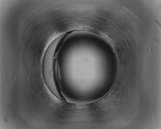 X0000091731152200708311156