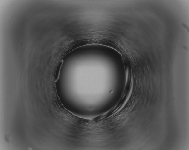 X0000091731153200708311155
