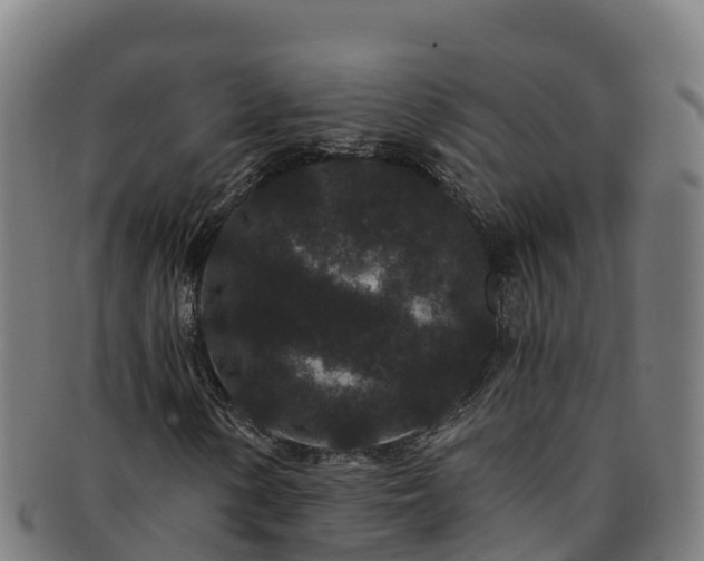 X0000091731154200708311155