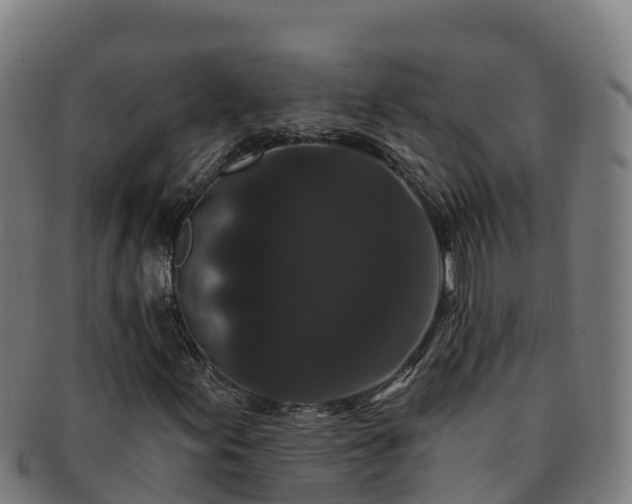 X0000091731155200708311155