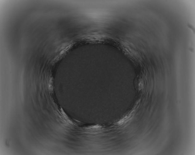 X0000091731156200708311155