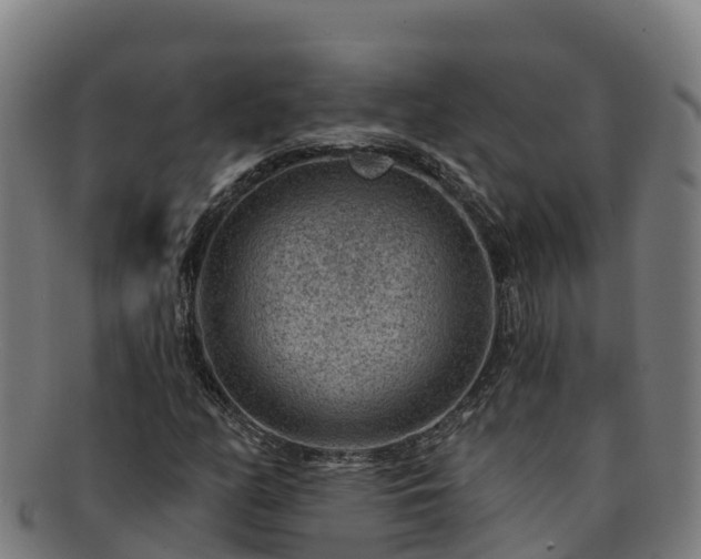 X0000091731158200708311155