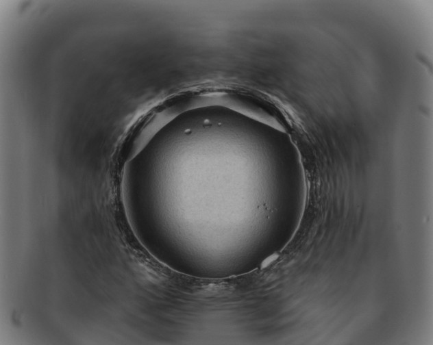X0000091731160200708311155