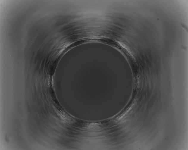 X0000091731161200708311155