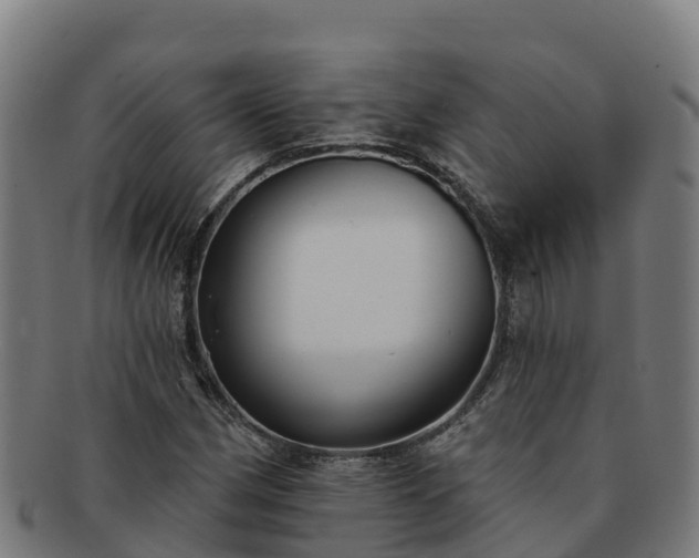X0000091731162200708311155
