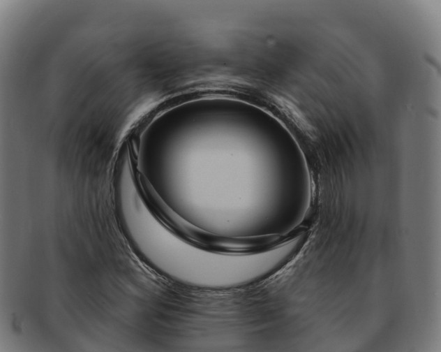 X0000091731164200708311155