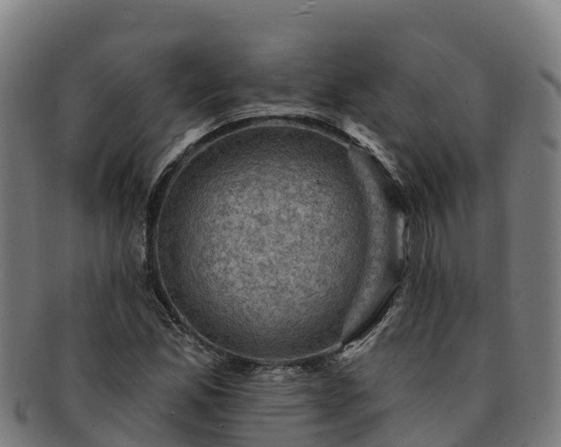 X0000091731165200708311155