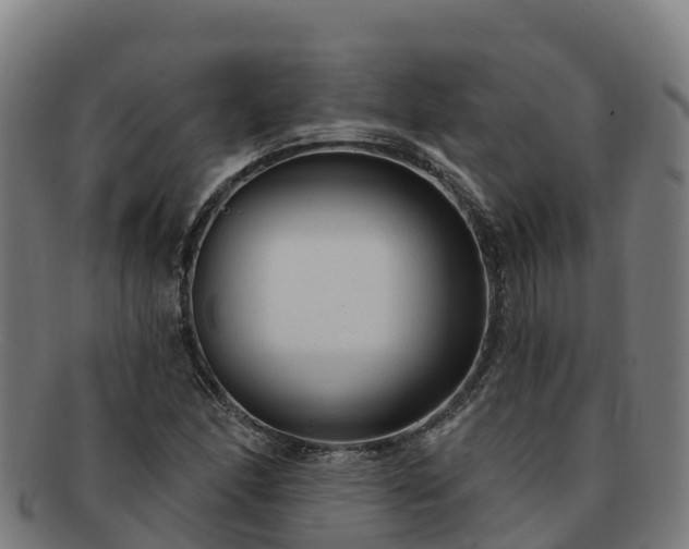 X0000091731166200708311155