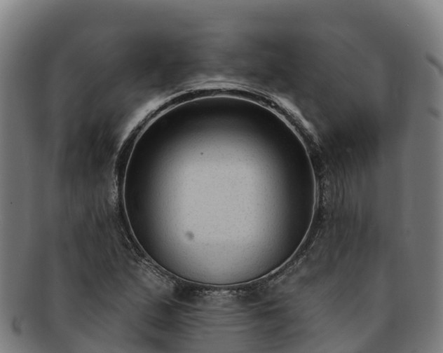 X0000091731167200708311155