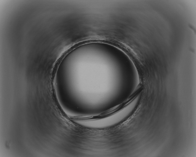 X0000091731168200708311155