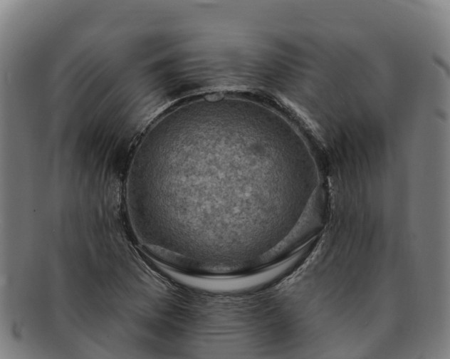X0000091731169200708311155