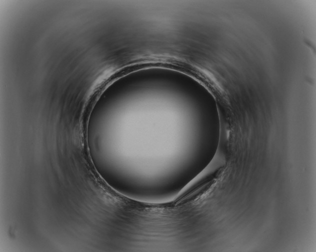 X0000091731172200708311155