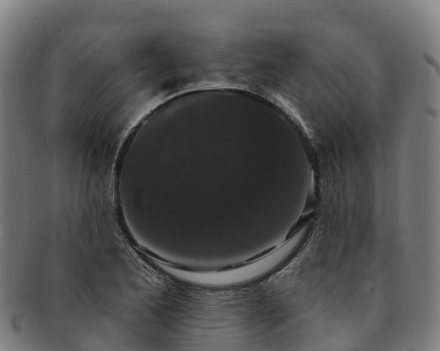X0000091731173200708311155