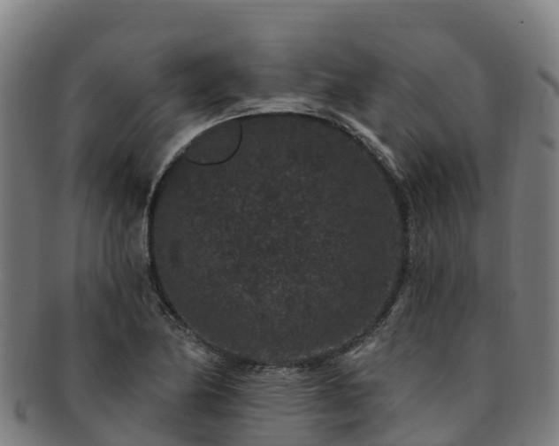 X0000091731174200708311155