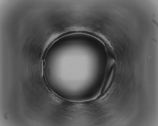 X0000091731175200708311154