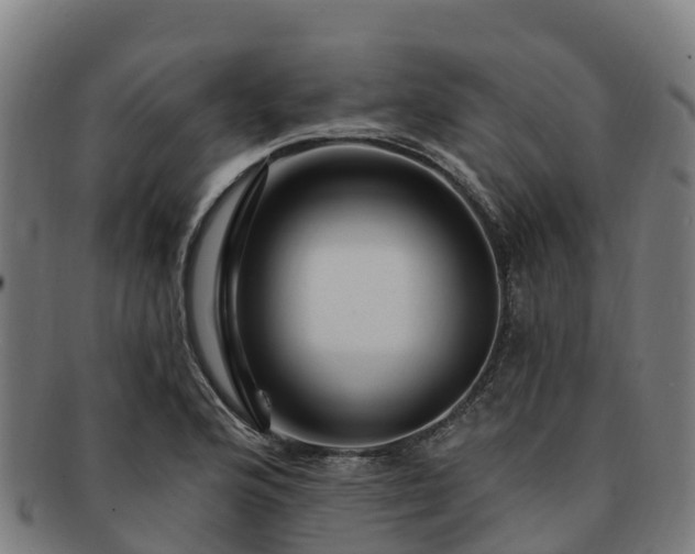 X0000091731176200708311154