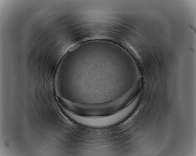 X0000091731177200708311154