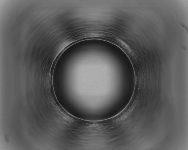 X0000091731178200708311154