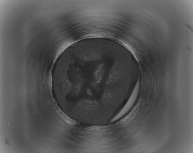 X0000091731179200708311154