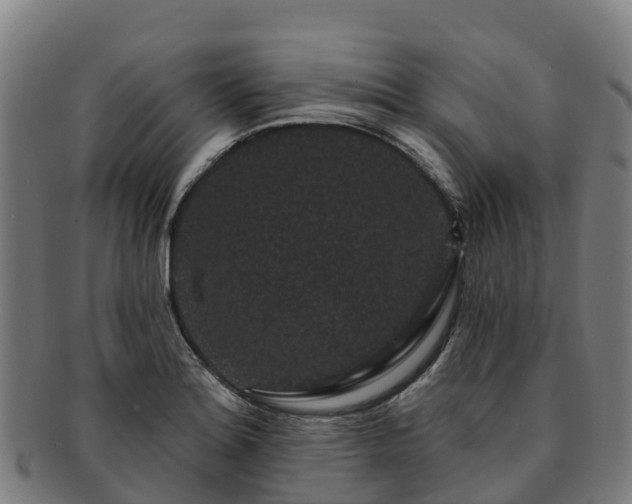 X0000091731180200708311154