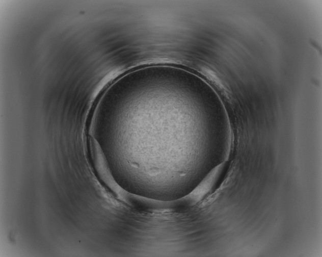 X0000091731181200708311154