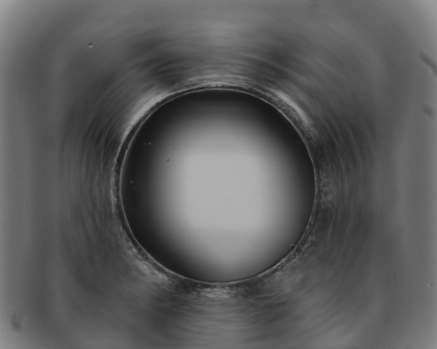 X0000091731182200708311154