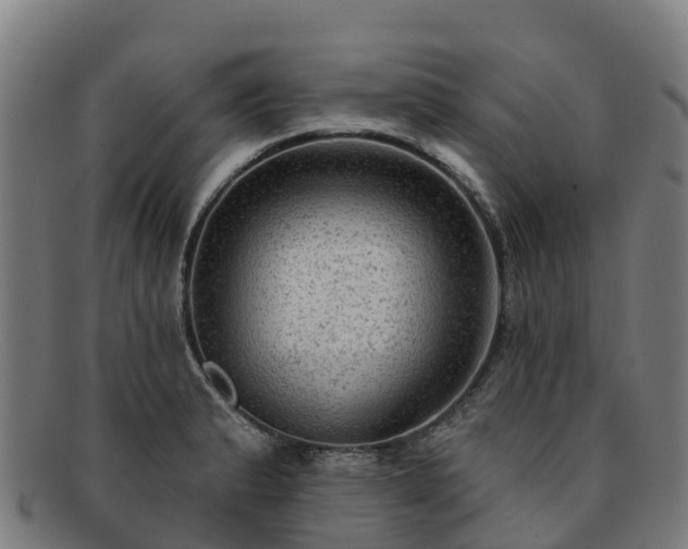 X0000091731183200708311154