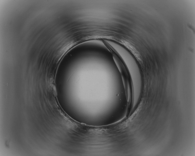 X0000091731185200708311154