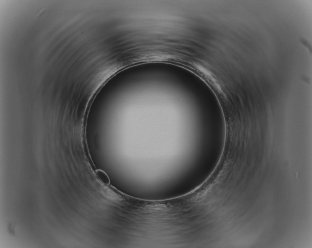 X0000091731186200708311154