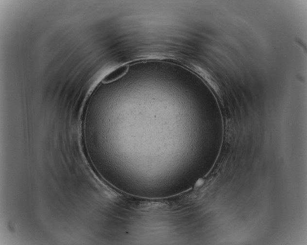 X0000091731187200708311154