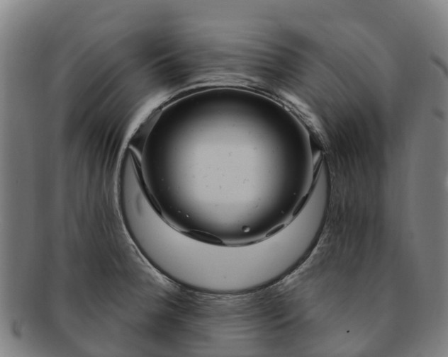 X0000091731188200708311154