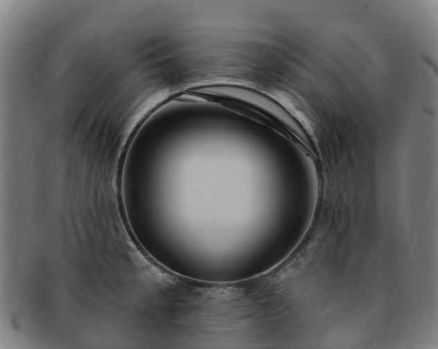 X0000091731189200708311154