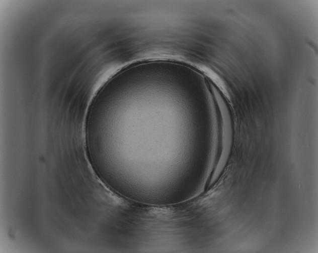 X0000091731191200708311154