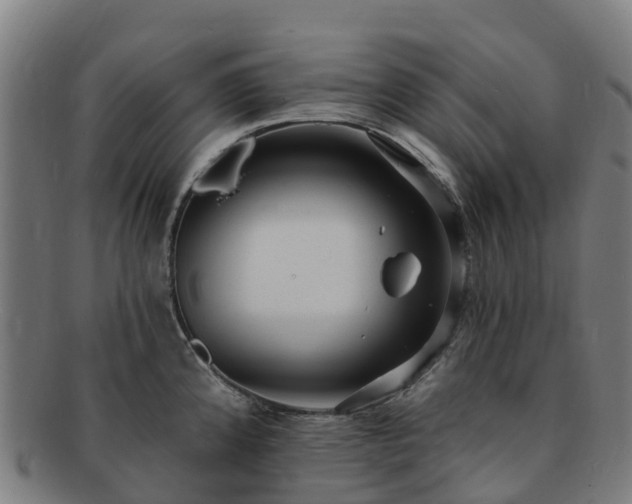 X0000091731192200708311154