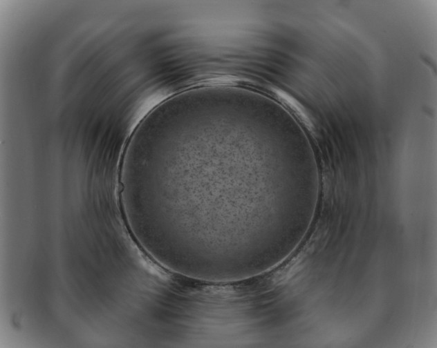 X0000091731194200708311154
