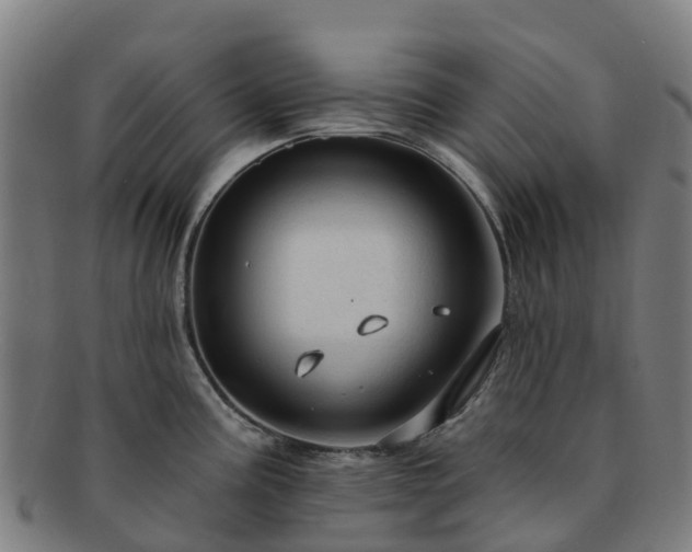 X0000091731195200708311154