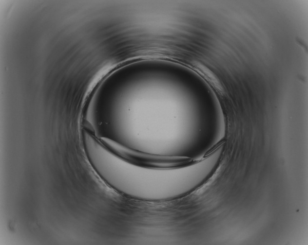 X0000091731196200708311154