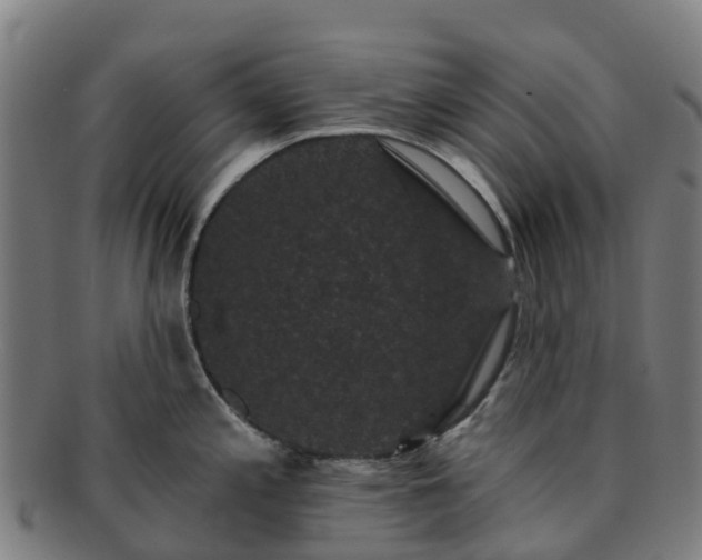 X0000091731197200708311154