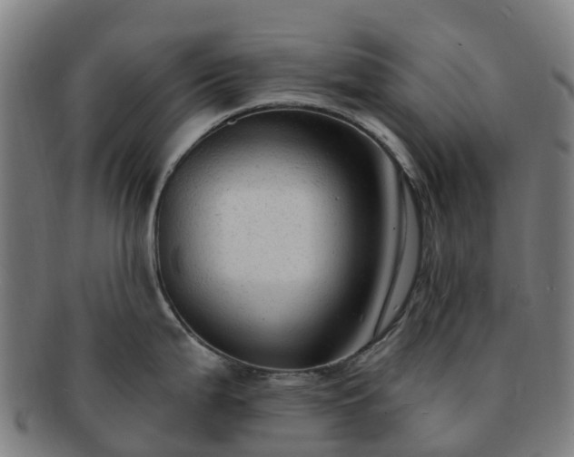 X0000091731199200708311154