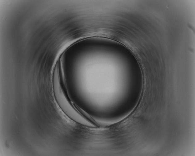X0000091731200200708311154