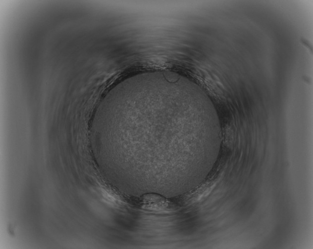X0000091731201200708311153