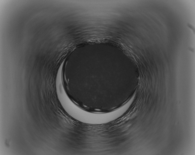 X0000091731202200708311154