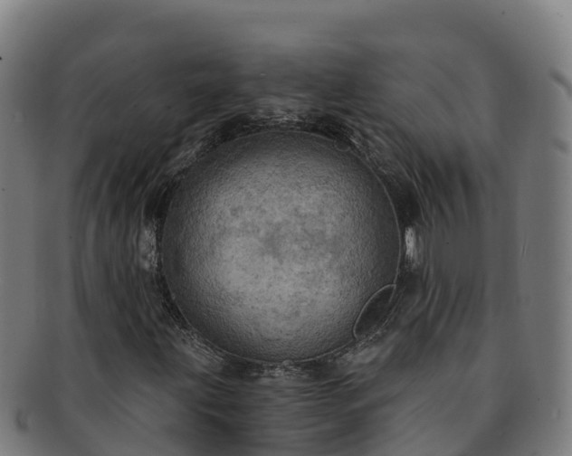 X0000091731203200708311154