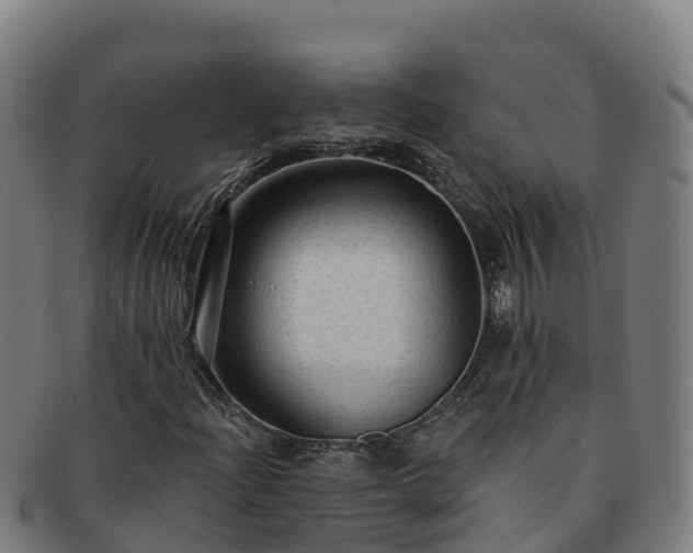 X0000091731204200708311154