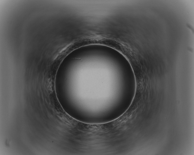 X0000091731205200708311154