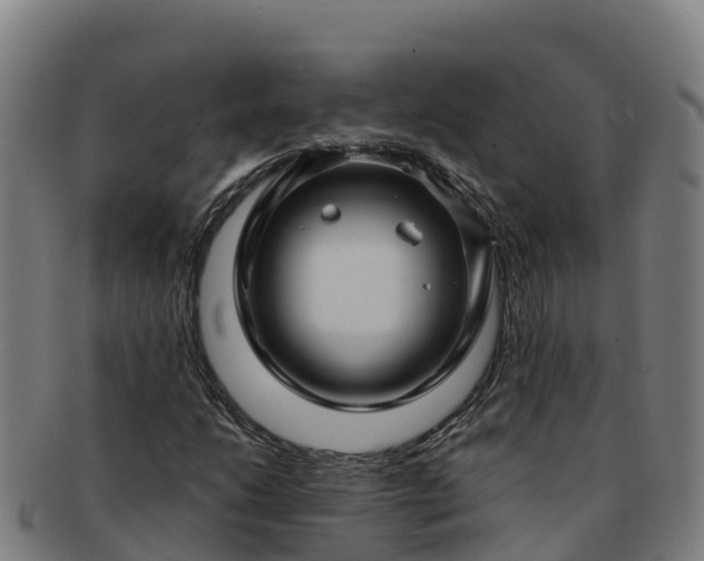 X0000091731206200708311154