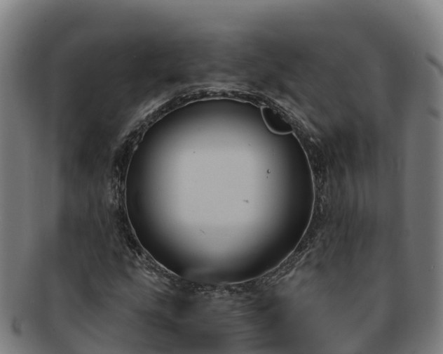 X0000091731207200708311154