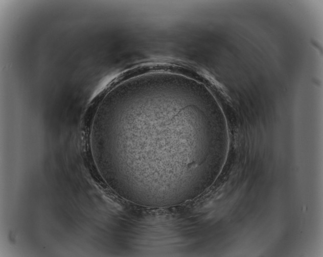 X0000091731208200708311154